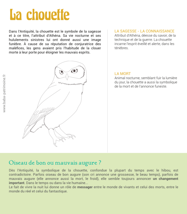 Dans l’Antiquité, la chouette est le symbole de la sagesse et à ce titre, l’attribut d’Athéna. Sa vie nocturne et ses hululements sinistres lui ont donné aussi une image funèbre. À cause de sa réputation de conjuratrice des maléfices, les gens avaient pris l'habitude de la clouer morte à leur porte pour éloigner les mauvais esprits. la sagesse - la connaissance Attribut d’Athéna, déesse du savoir, de la technique et de la guerre. La chouette incarne l’esprit éveillé et alerte, dans les ténèbres. La Mort Animal nocturne, semblant fuir la lumière du jour, la chouette a aussi la symbolique de la mort et de l’annonce funeste.