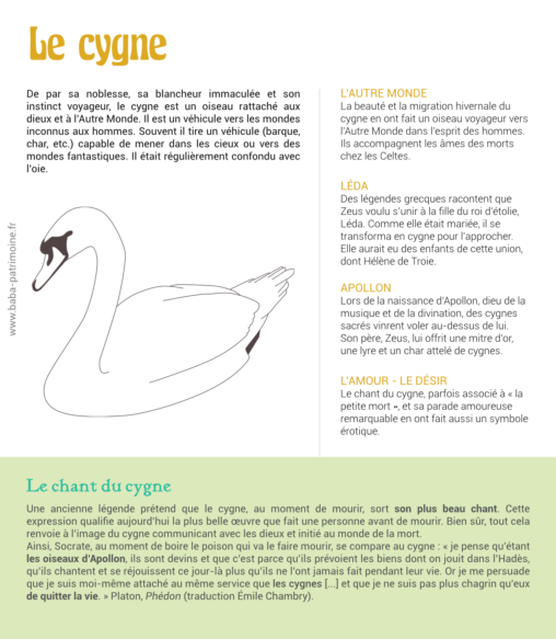 De par sa noblesse, sa blancheur immaculée et son instinct voyageur, le cygne est un oiseau rattaché aux dieux et à l’Autre Monde. Il est un véhicule vers les mondes inconnus aux hommes. Souvent il tire un véhicule (barque, char, etc.) capable de mener dans les cieux ou vers des mondes fantastiques. Il était régulièrement confondu avec l’oie. L’autre monde La beauté et la migration hivernale du cygne en ont fait un oiseau voyageur vers l’Autre Monde dans l’esprit des hommes. Ils accompagnent les âmes des morts chez les Celtes. Léda Des légendes grecques racontent que Zeus voulu s’unir à la fille du roi d’étolie, Léda. Comme elle était mariée, il se transforma en cygne pour l’approcher. Elle aurait eu des enfants de cette union, dont Hélène de Troie. Apollon Lors de la naissance d’Apollon, dieu de la musique et de la divination, des cygnes sacrés vinrent voler au-dessus de lui. Son père, Zeus, lui offrit une mitre d’or, une lyre et un char attelé de cygnes. l’amour - le désir Le chant du cygne, parfois associé à «_la petite mort_», et sa parade amoureuse remarquable en ont fait aussi un symbole érotique.