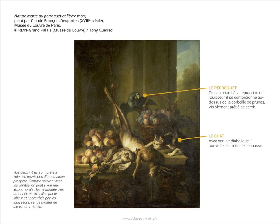 Analyse de tableau : Nature morte au perroquet et lièvre mort, peint par Claude François Desportes.